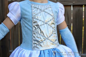 Cinderalla Costume