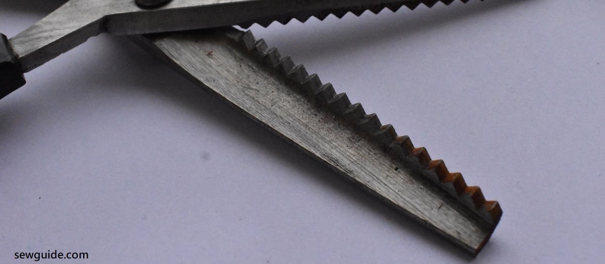 rusted pinking shears